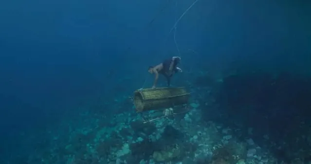 Underwater structure on the Alor itinerary; diving Alor