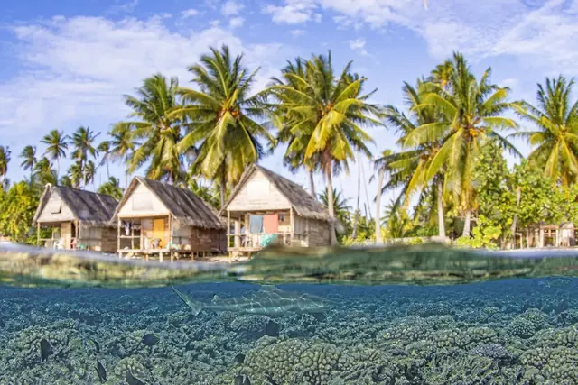Sharks and bungalows at Tetamanu; diving Fakarava + Rangiroa