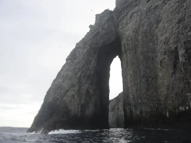 Vagamares Tunnel, Malpelo; diving Malpelo