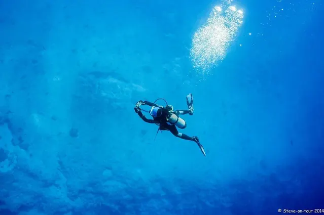 Blue Corner, great 60m+ visibility; diving Palau