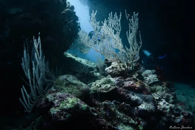 A diver in the passage at Uepi Island; diving Solomon Islands