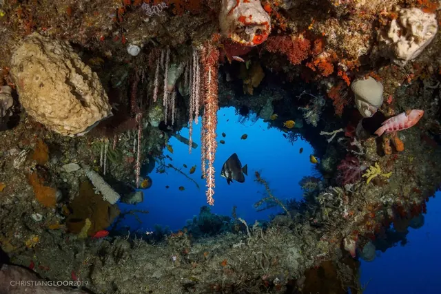 The Gate, Wakatobi; diving Wakatobi